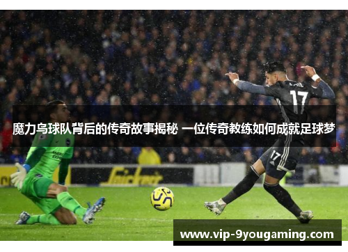 魔力鸟球队背后的传奇故事揭秘 一位传奇教练如何成就足球梦